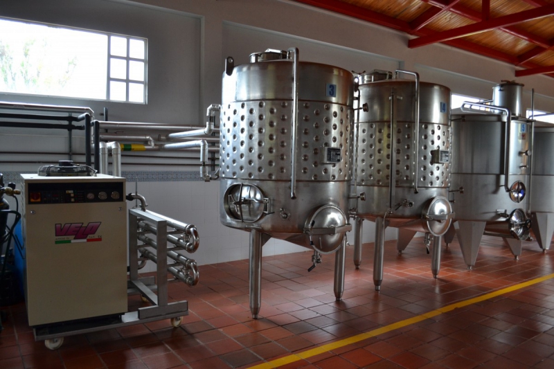 cave-PIGNANS-min_wine_production_cantine_winery_drink_alcohol_vine_beverage-902036